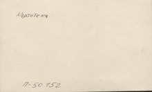 Фото №1 - оборотная сторона